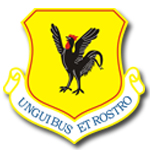 18th Wing Emblem